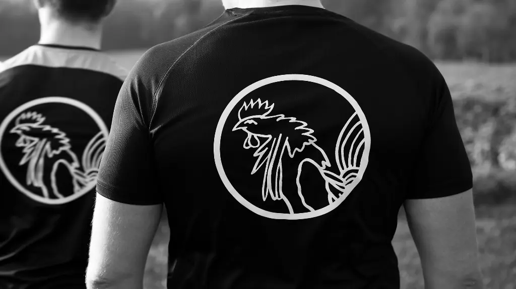  T-Shirt de Sport - H