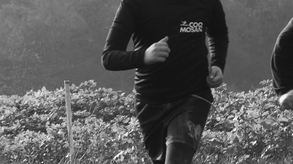 Le T-Shirt Sport Neutre ou Coquette - E