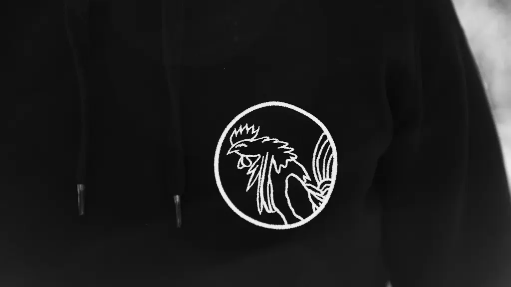 Pull à Capuche