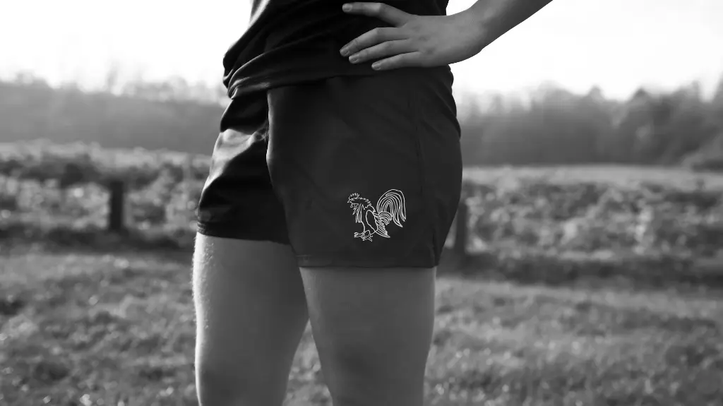 Le Short de Sport